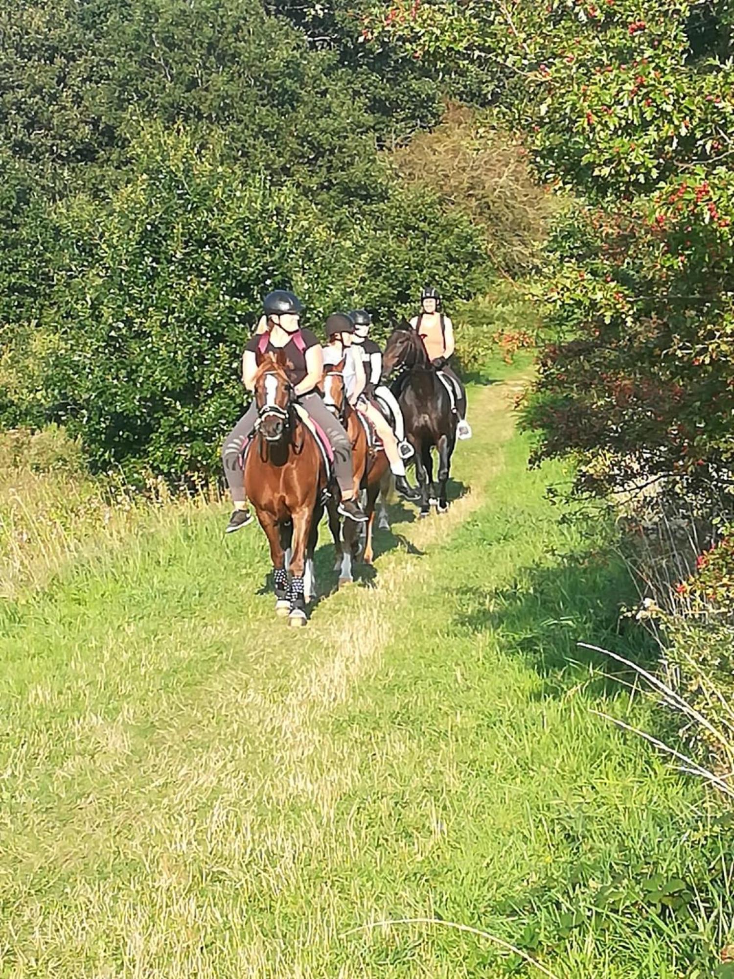 Ferienwohnung Reitanlage Baerenz Selk Экстерьер фото